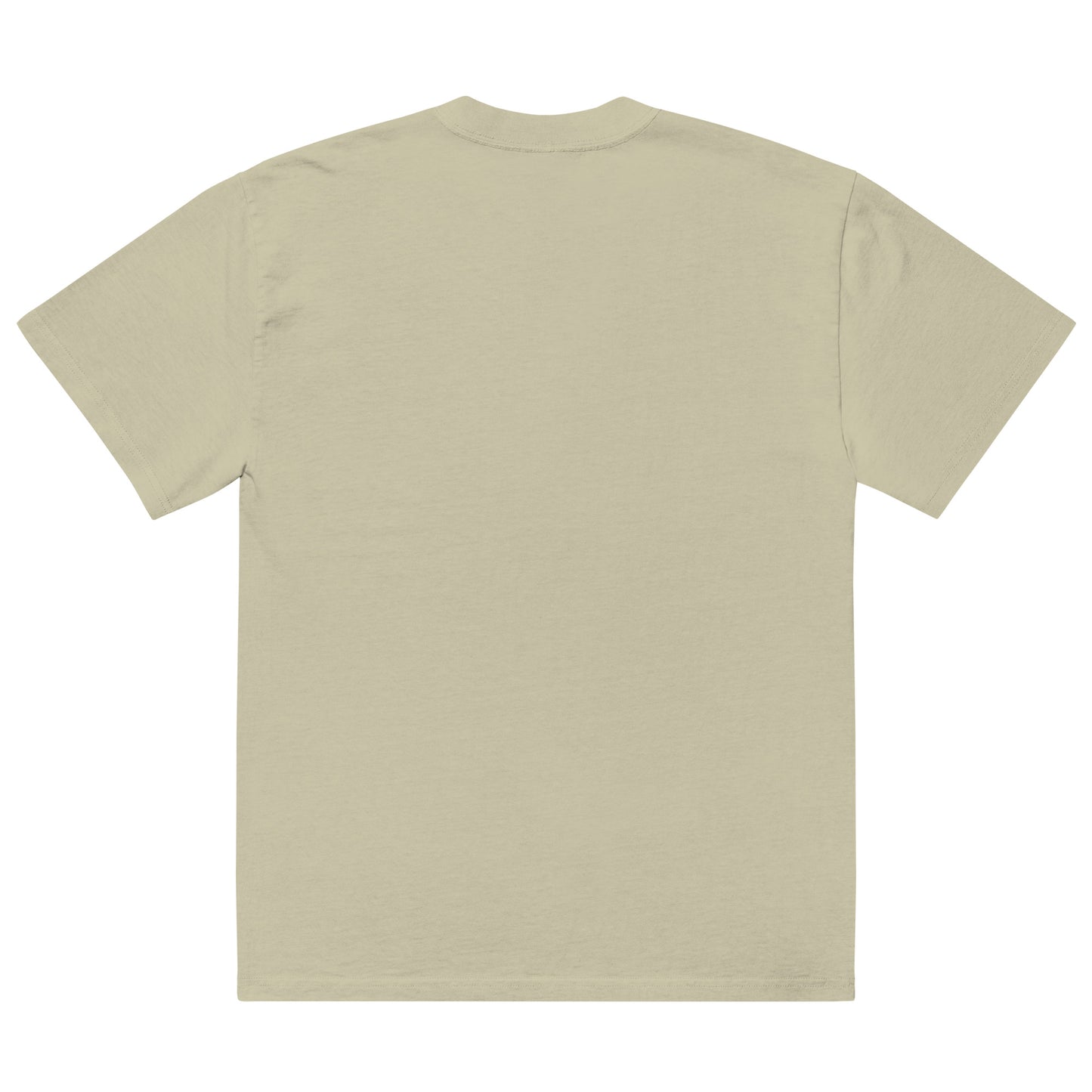 IAF The Big Bad pt.2 Oversized faded t-shirt