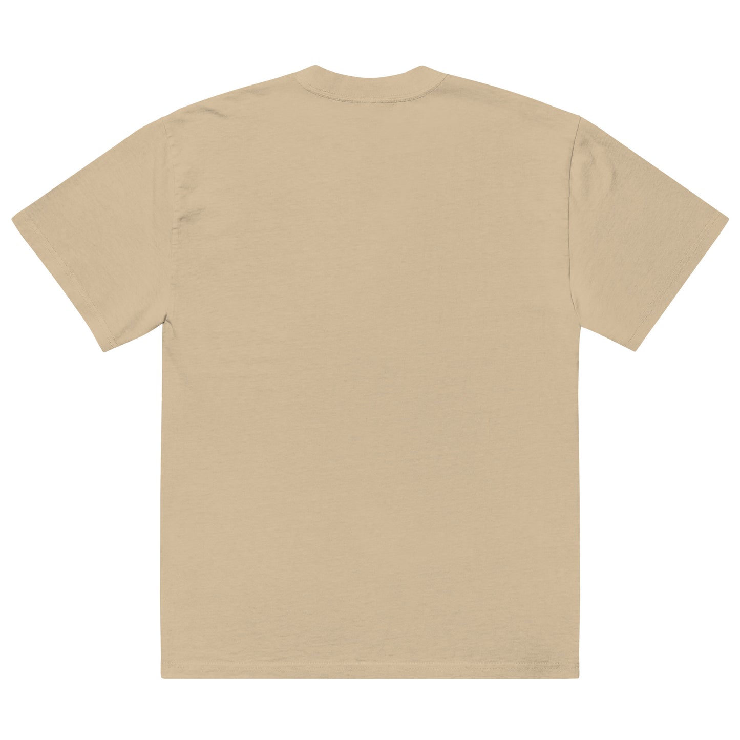 IAF The Big Bad pt.2 Oversized faded t-shirt