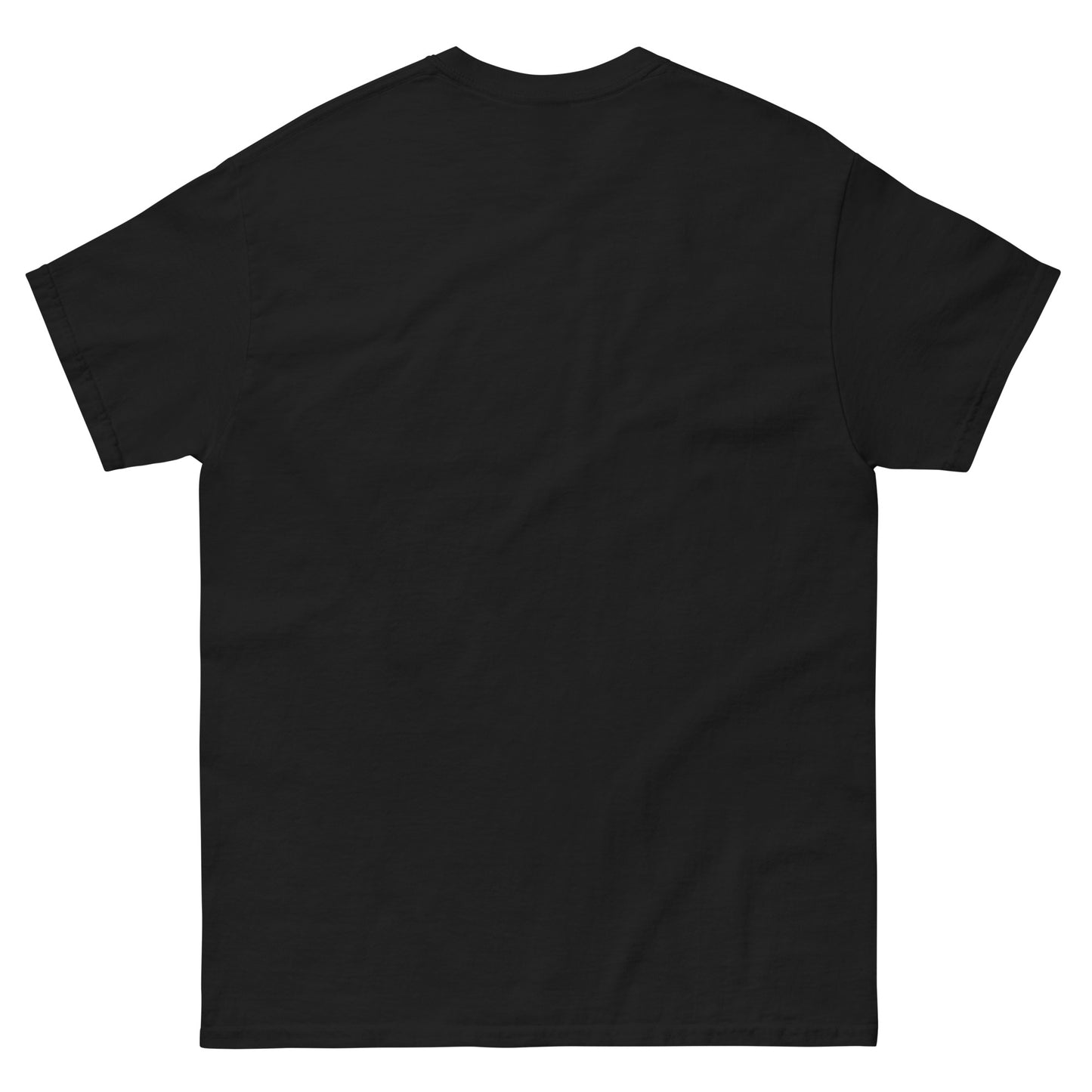 SS Unisex classic tee