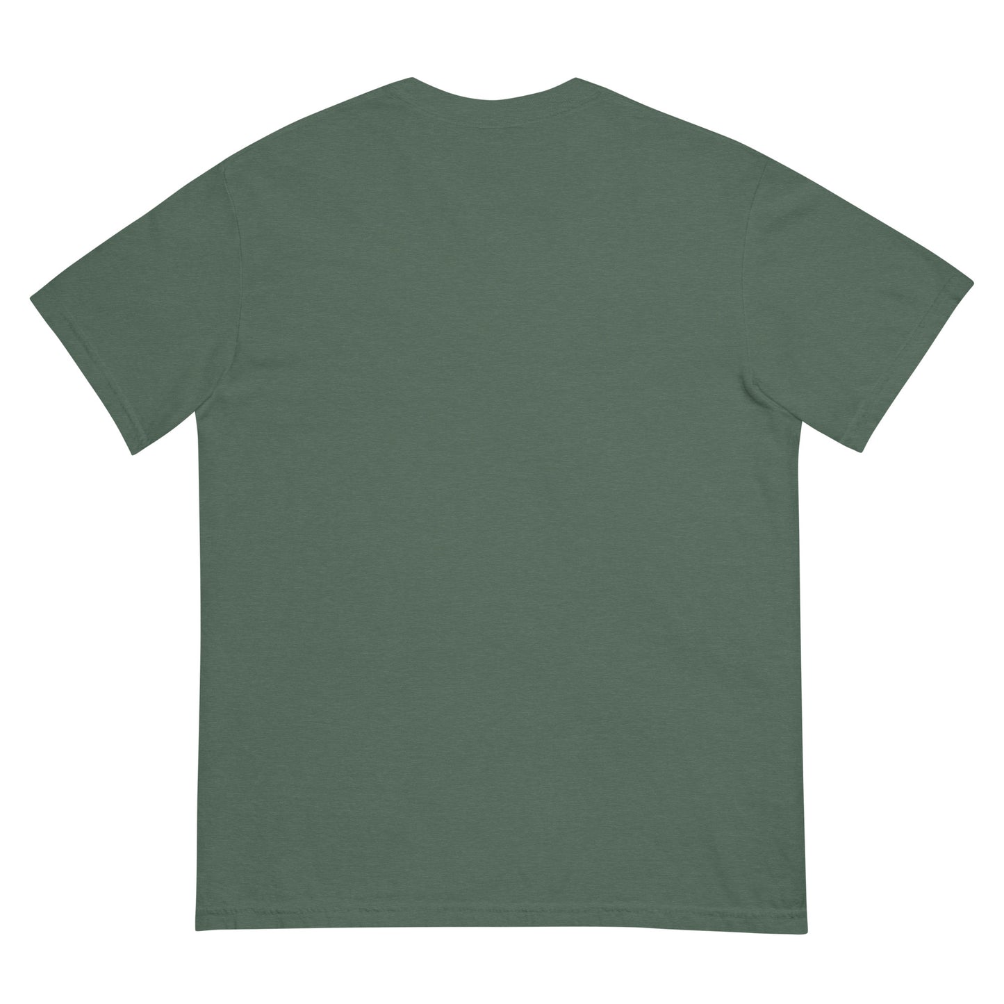 IAF The Big Bad pt.3 Unisex garment-dyed heavyweight t-shirt
