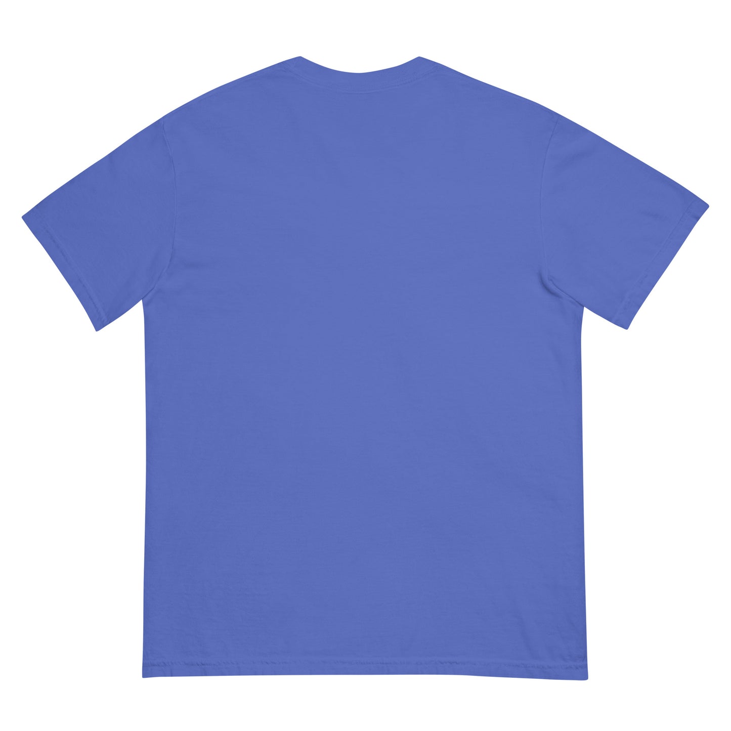 IAF The Big Bad pt.3 Unisex garment-dyed heavyweight t-shirt