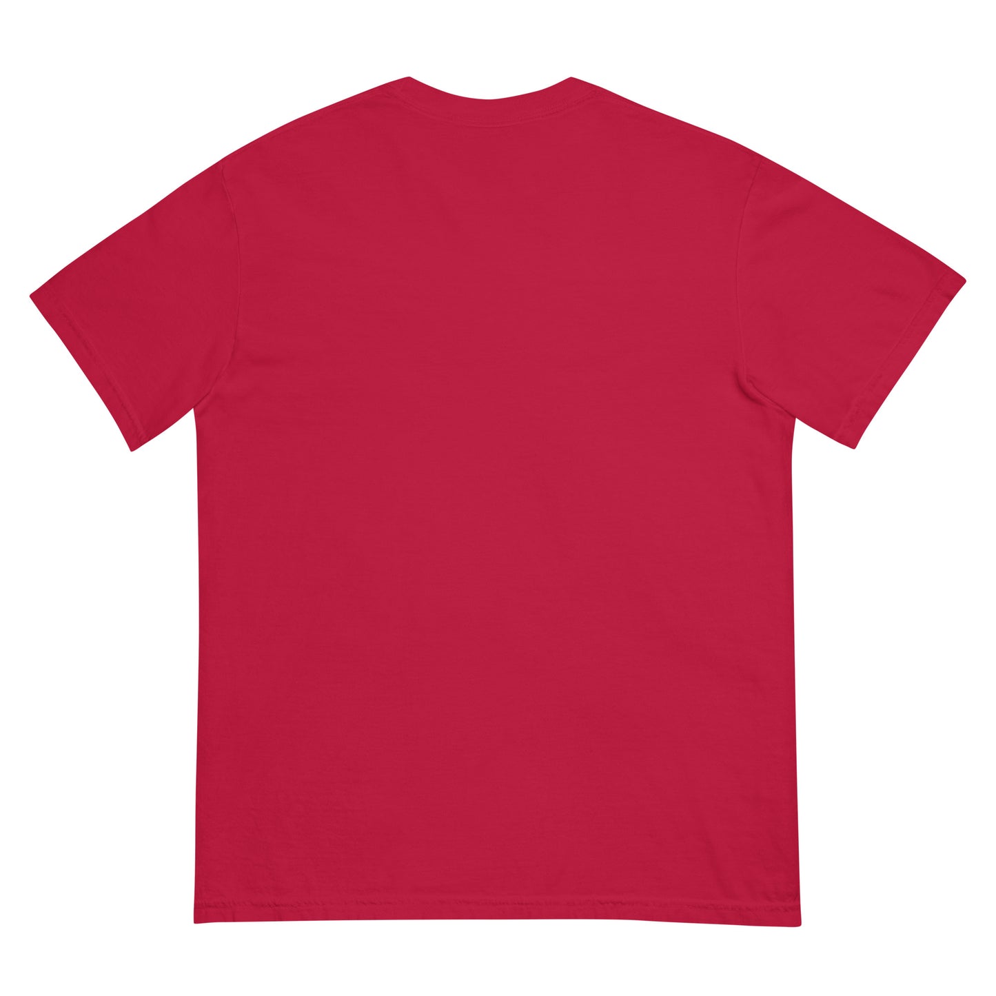 IAF The Big Bad pt.3 Unisex garment-dyed heavyweight t-shirt
