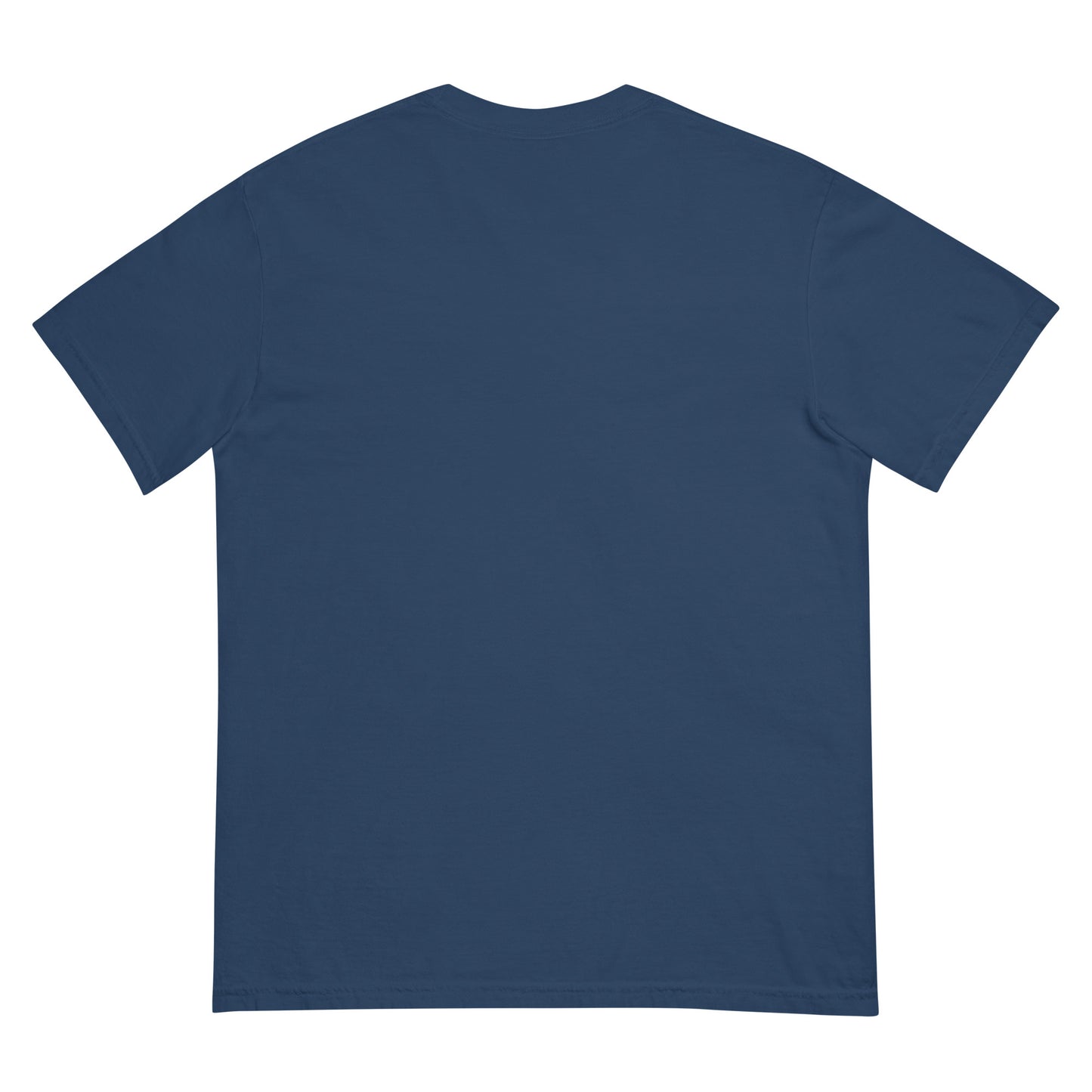 IAF The Big Bad pt.3 Unisex garment-dyed heavyweight t-shirt