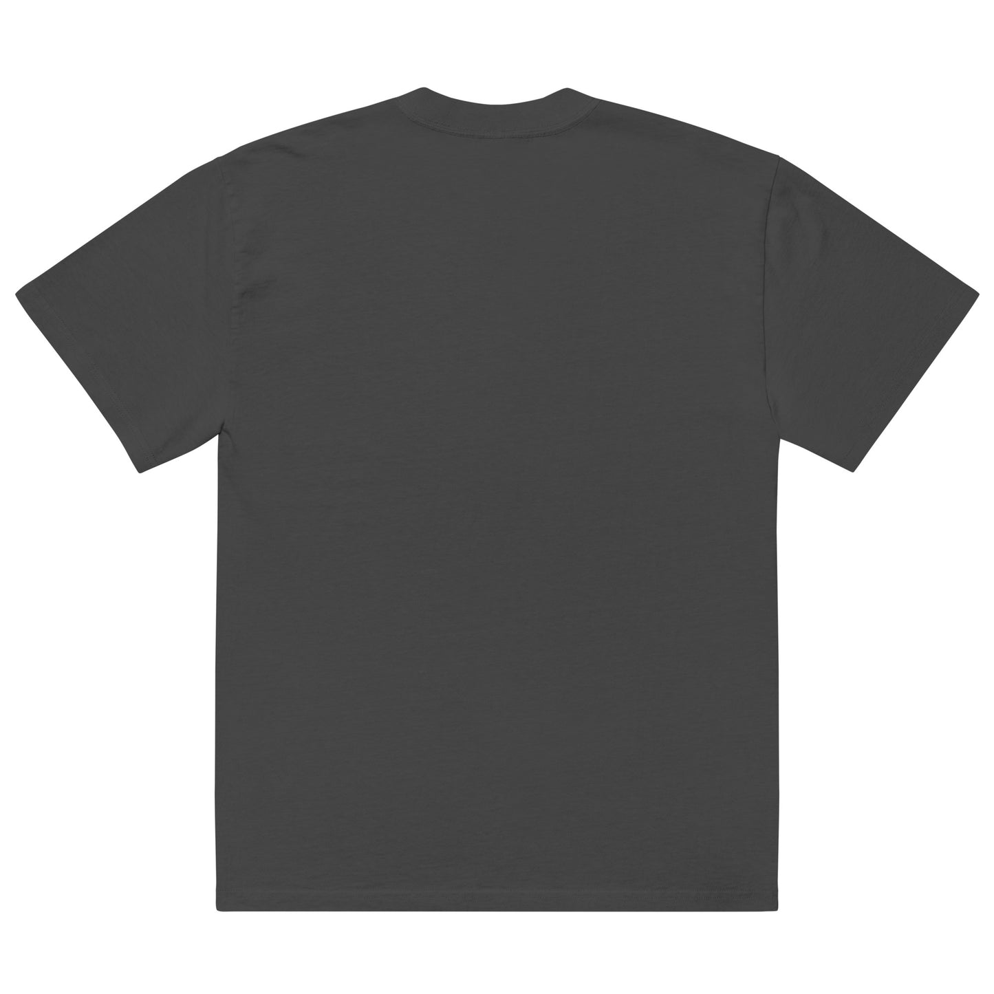 IAF The Big Bad pt.1 Oversized faded t-shirt