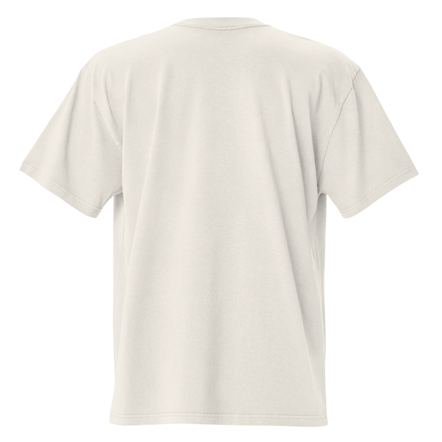 IAF Oversized embroidered faded t-shirt