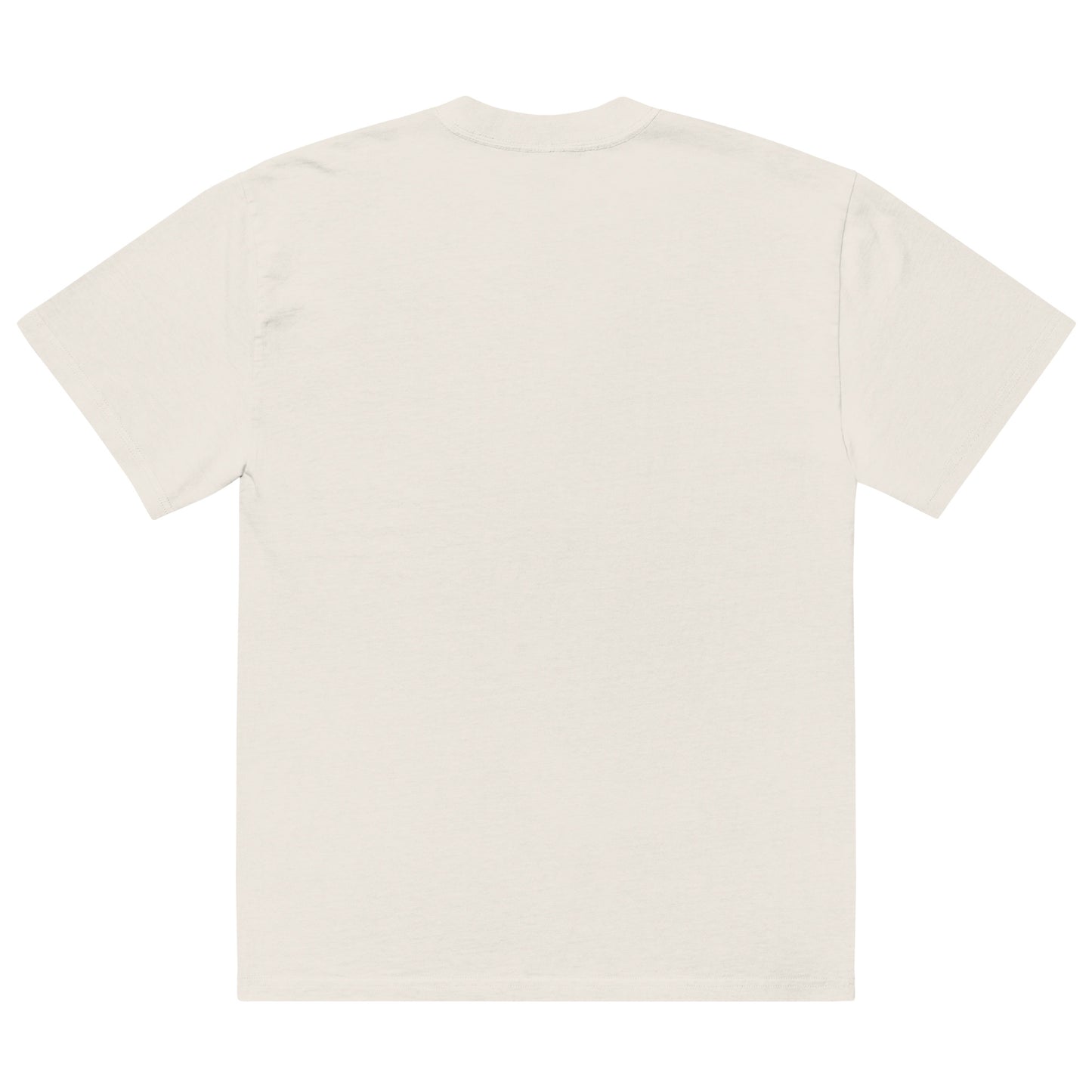 IAF SLC Oversized faded t-shirt
