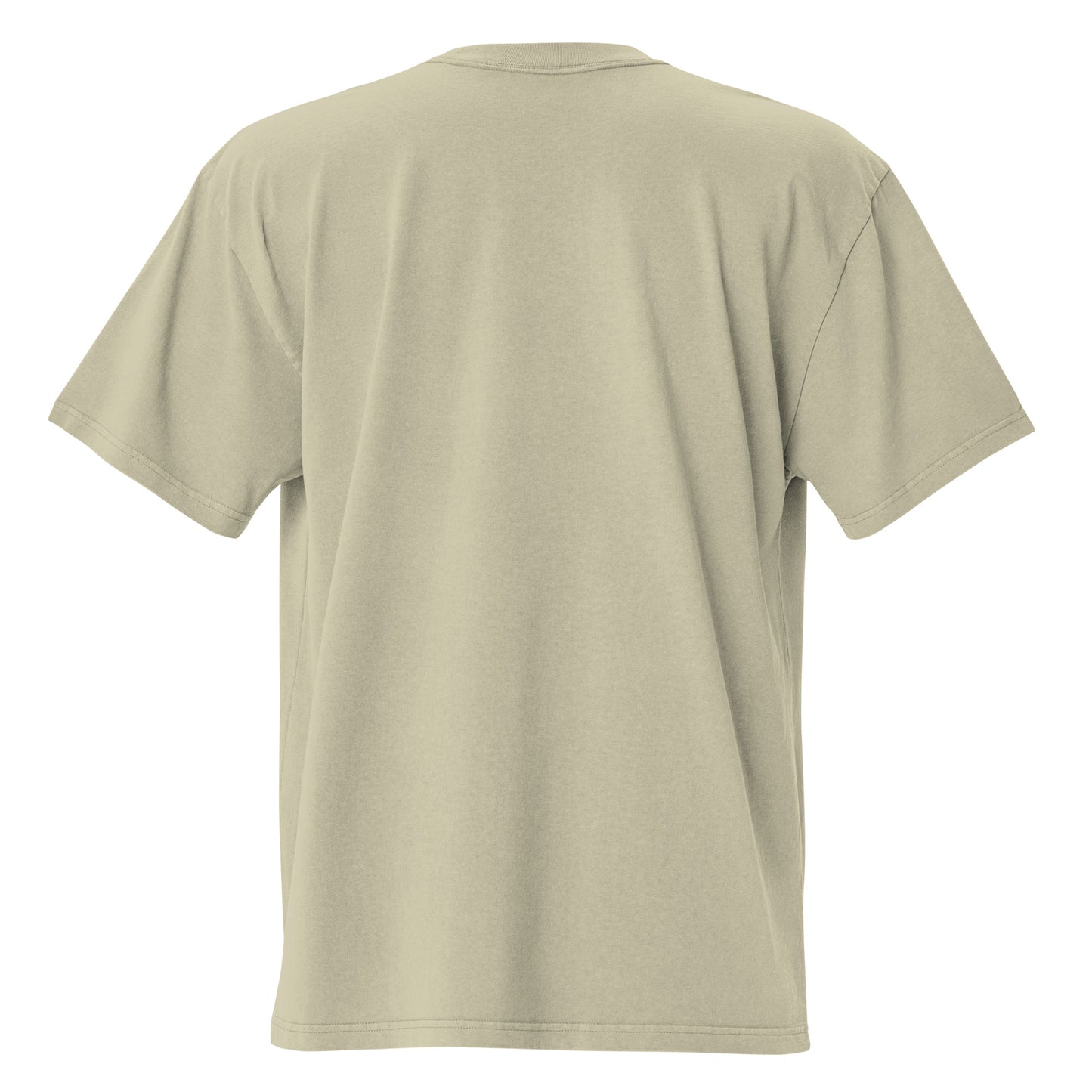 IAF Oversized embroidered faded t-shirt