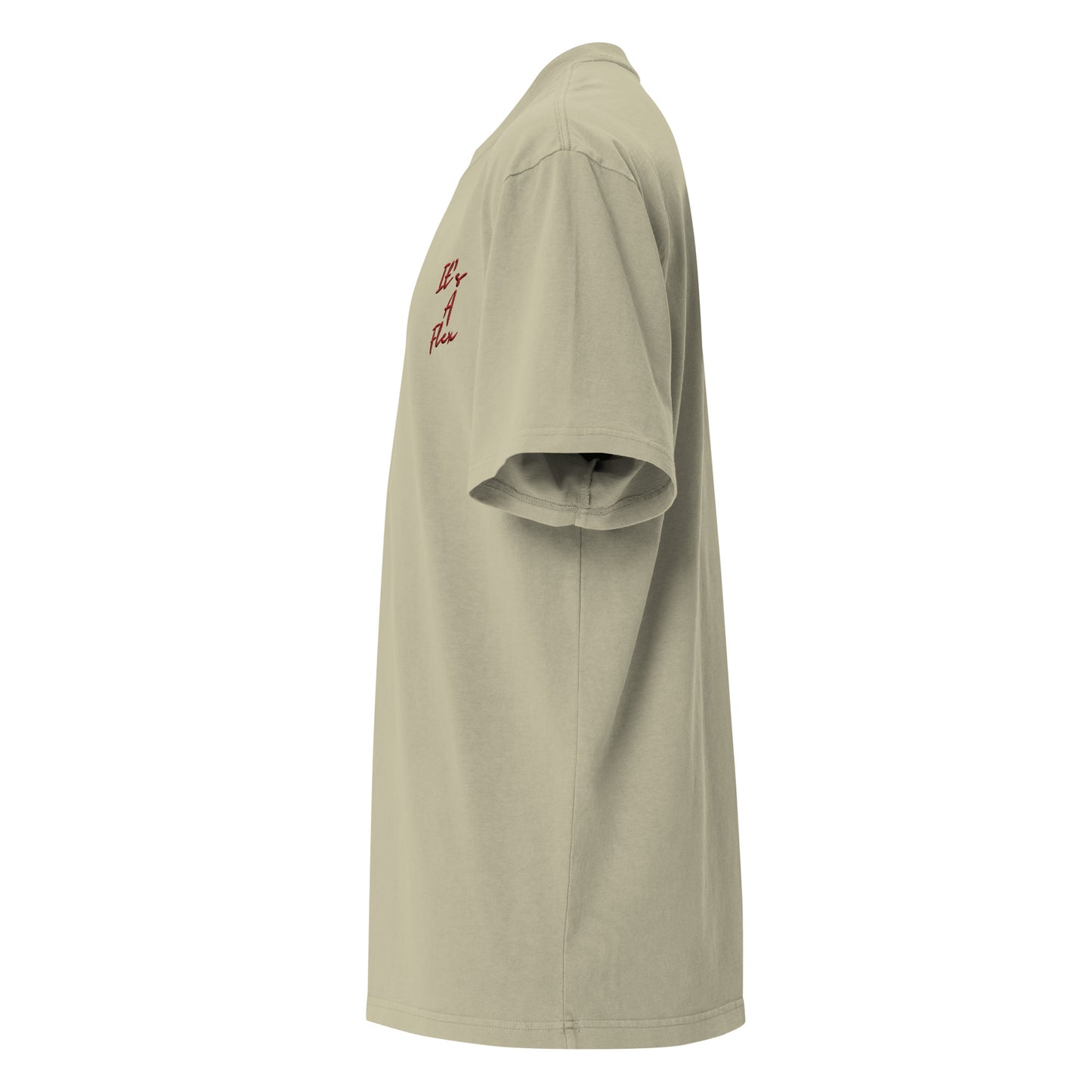 IAF Oversized embroidered faded t-shirt