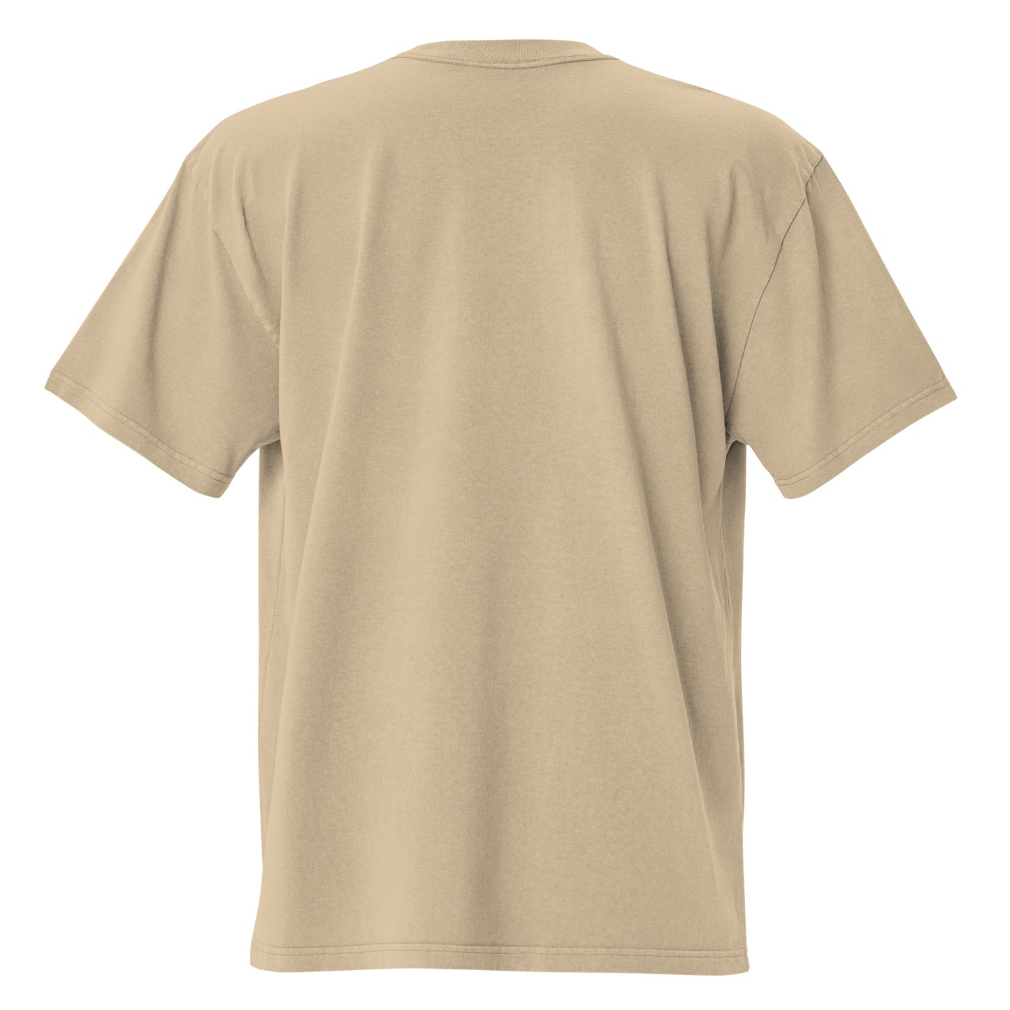 IAF Oversized embroidered faded t-shirt