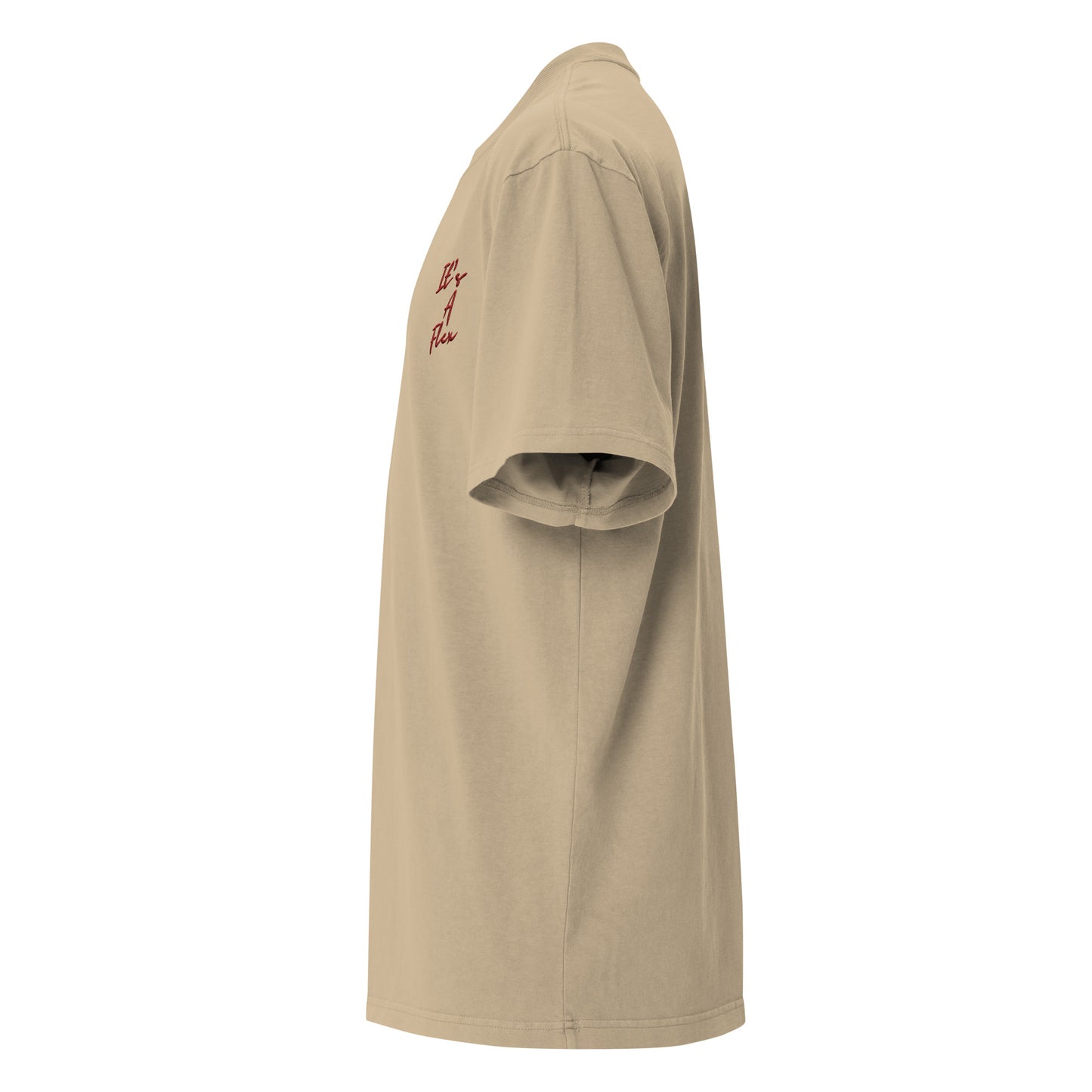 IAF Oversized embroidered faded t-shirt