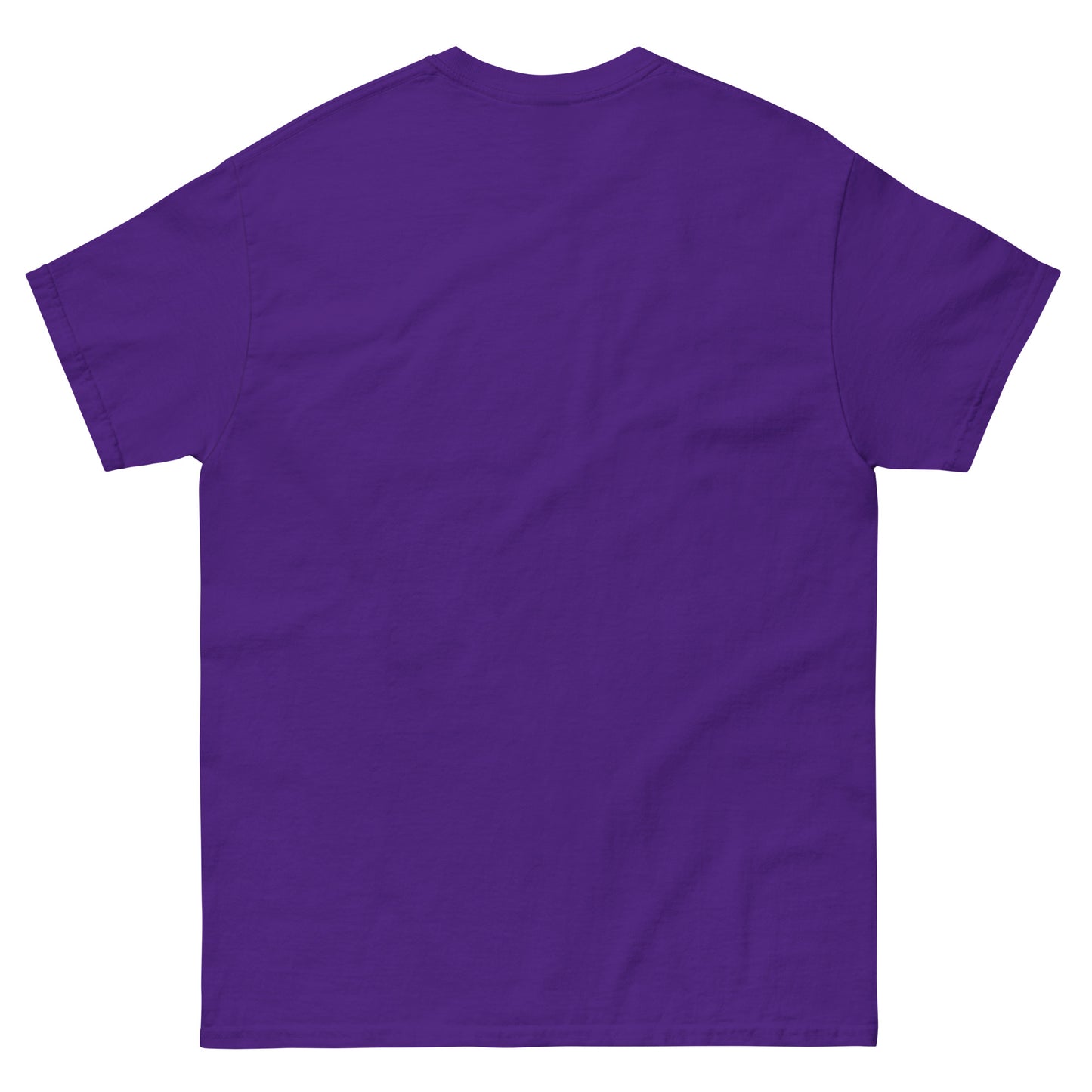 SS Unisex classic tee