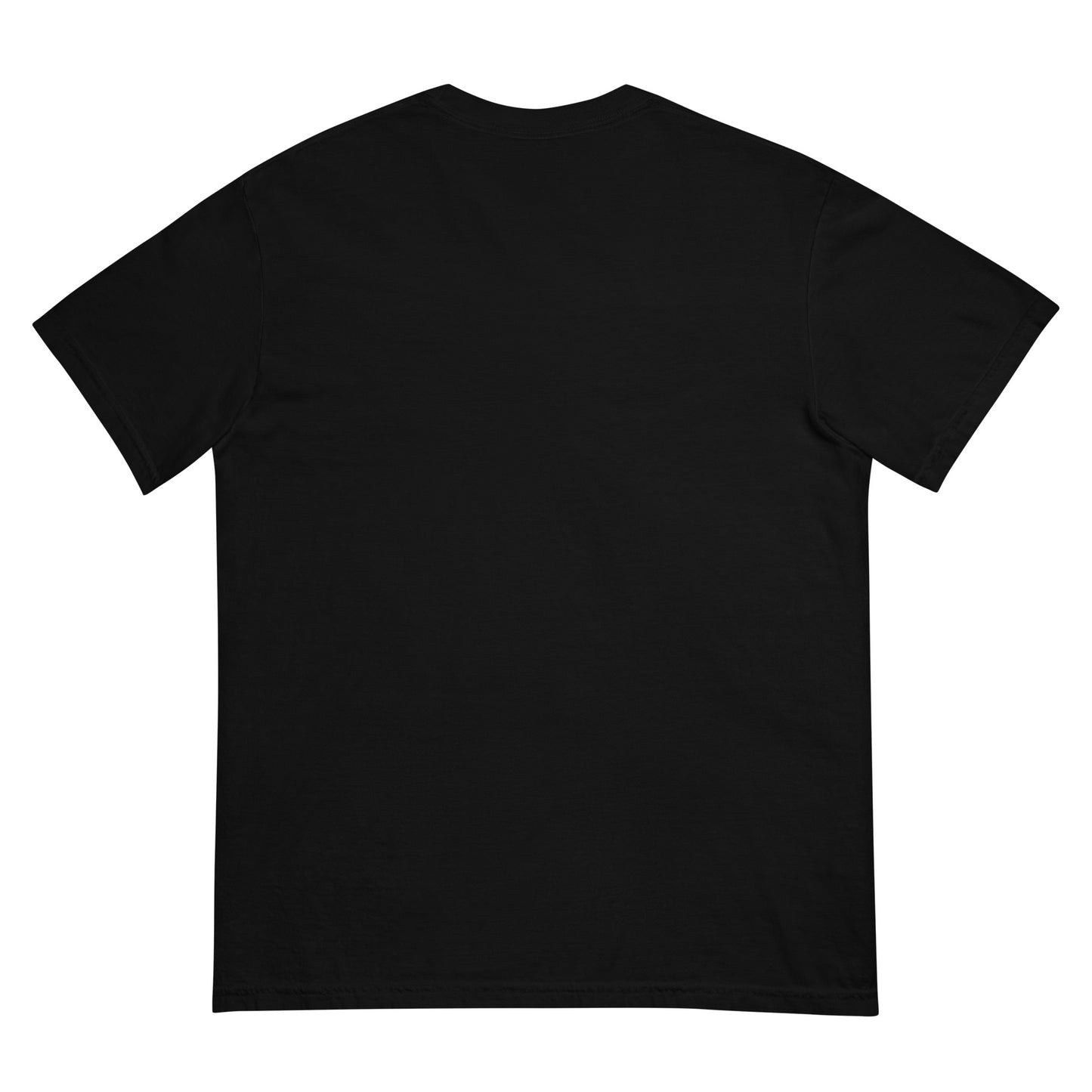 Bird Gang Gang Unisex heavyweight t-shirt