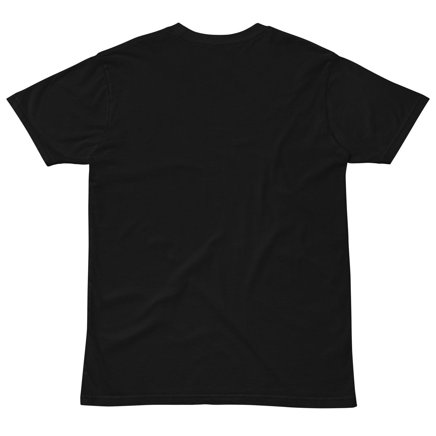 IAF Paid Unisex premium t-shirt