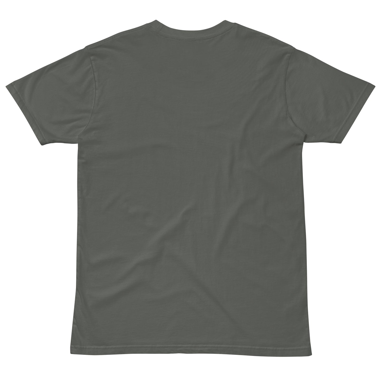 IAF Paid Unisex premium t-shirt