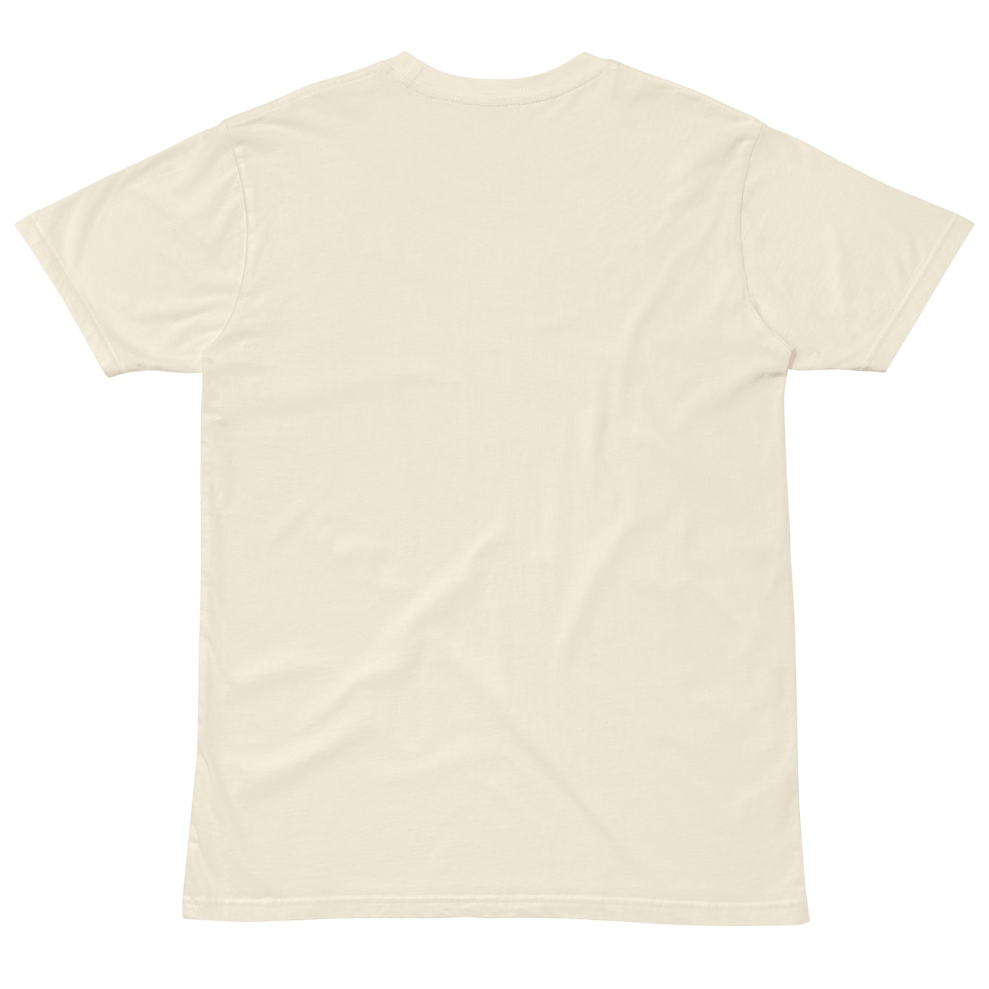 IAF Paid Unisex premium t-shirt
