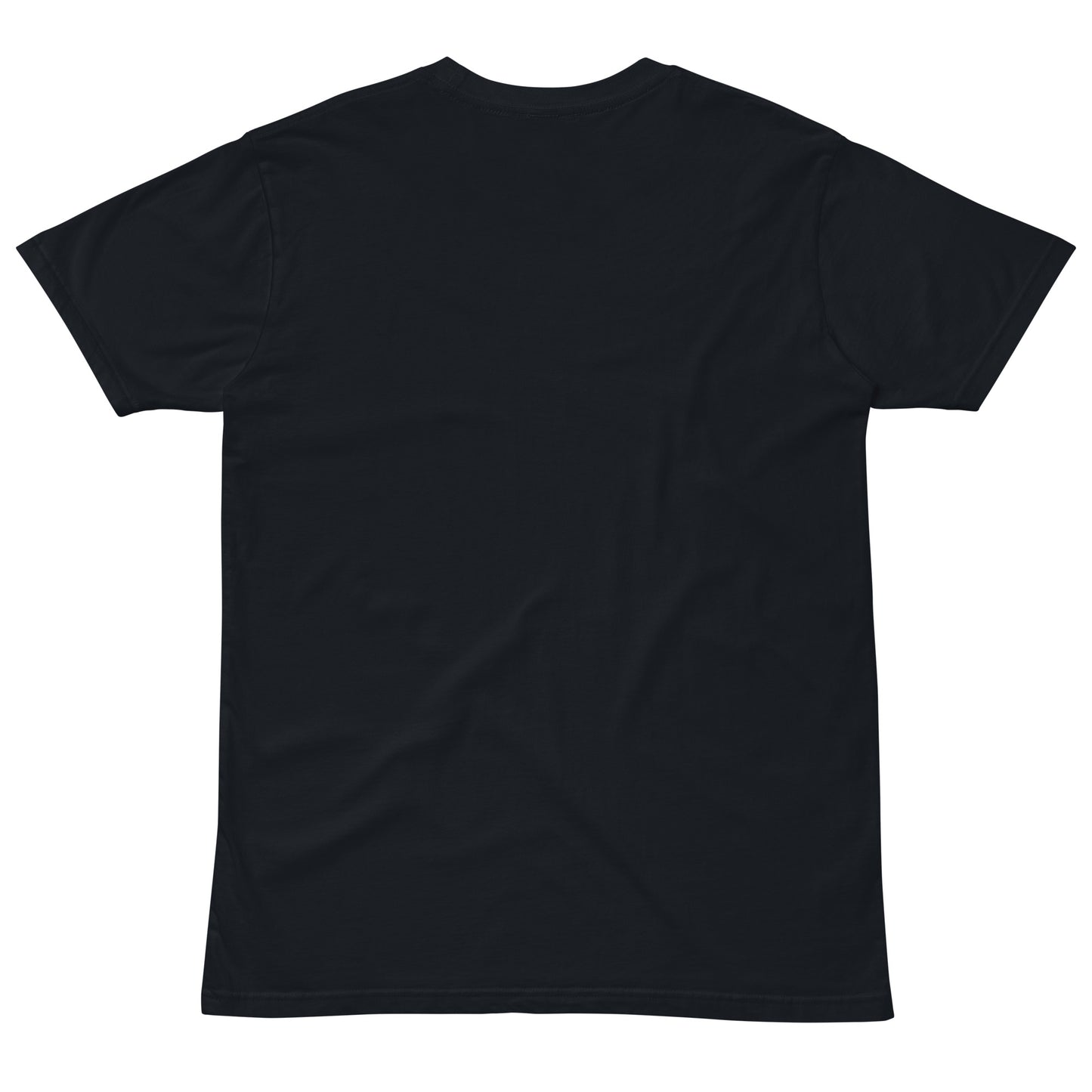 IAF Paid Unisex premium t-shirt