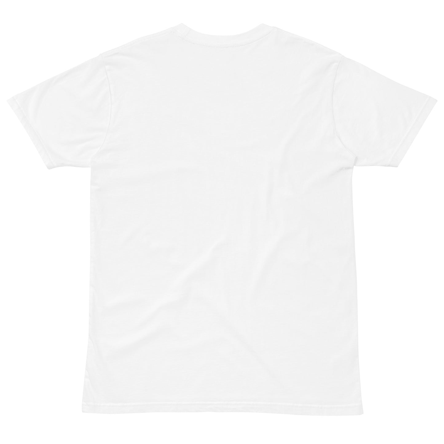 IAF Paid Unisex premium t-shirt
